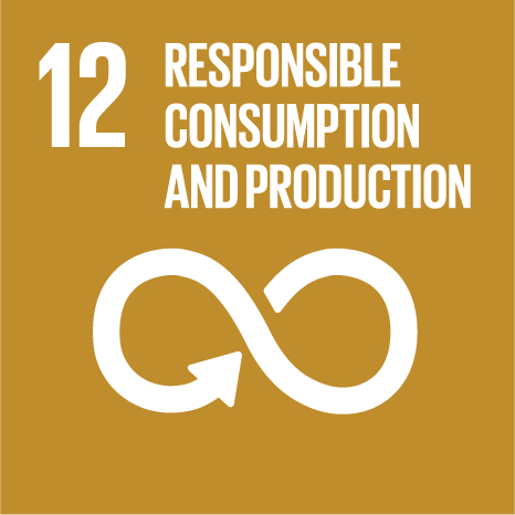 United Nations Sustainable Development Goal 12: Responsible Consumption & Production